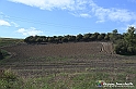 VBS_5267 - La solita strada... il grano da crescere, i campi da arare...